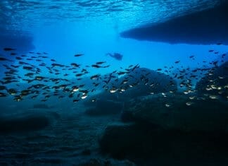 De Blauwe Kamer Curacao: Een Magische Onderwatergrot