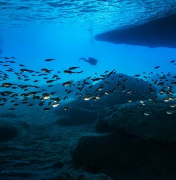 De Blauwe Kamer Curacao: Een Magische Onderwatergrot